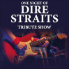  ONE NIGHT OF DIRE STRAITS • 13.02.2026, 20:00 • Lübeck